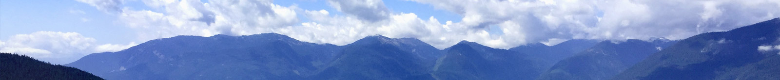 Socialwise Consulting banner